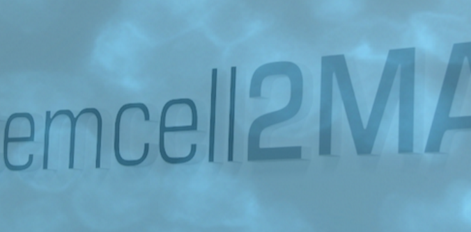 StemCell2MAX Reconhecida Pela Comissão Europeia