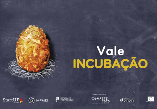 Vale Incubação 2017