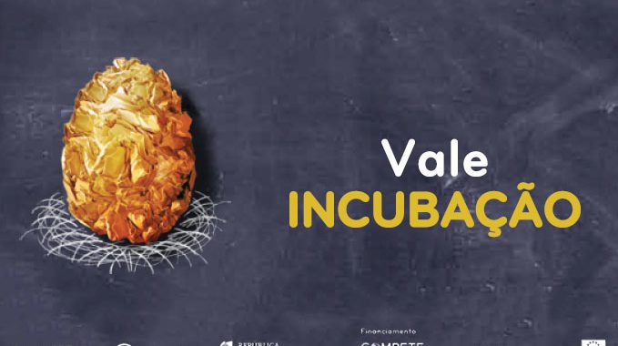 Vale Incubação 2017