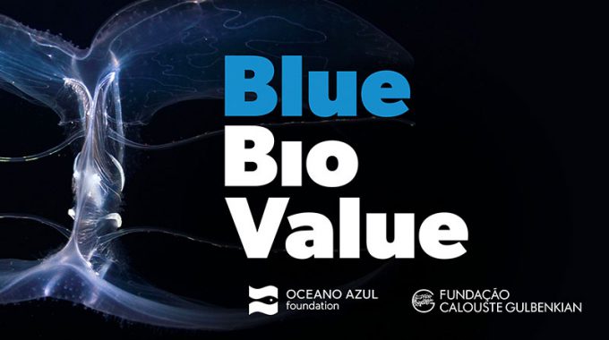 Blue Bio Value