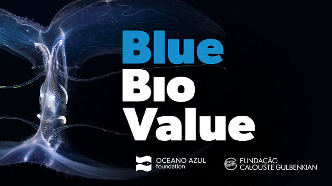 Blue Bio Value