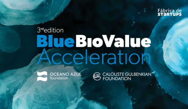 3ª Edição Blue Bio Value