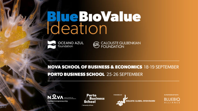 Blue Bio Value Ideation